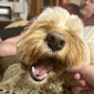 Meet your Posher, Lyla